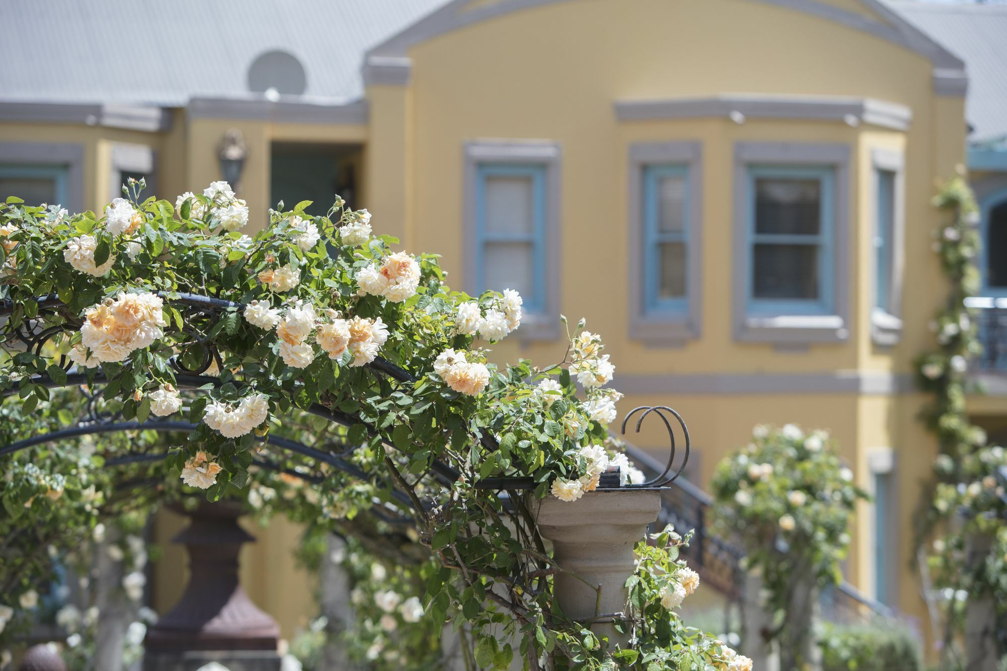 Franschhoek Country House & Villas Экстерьер фото