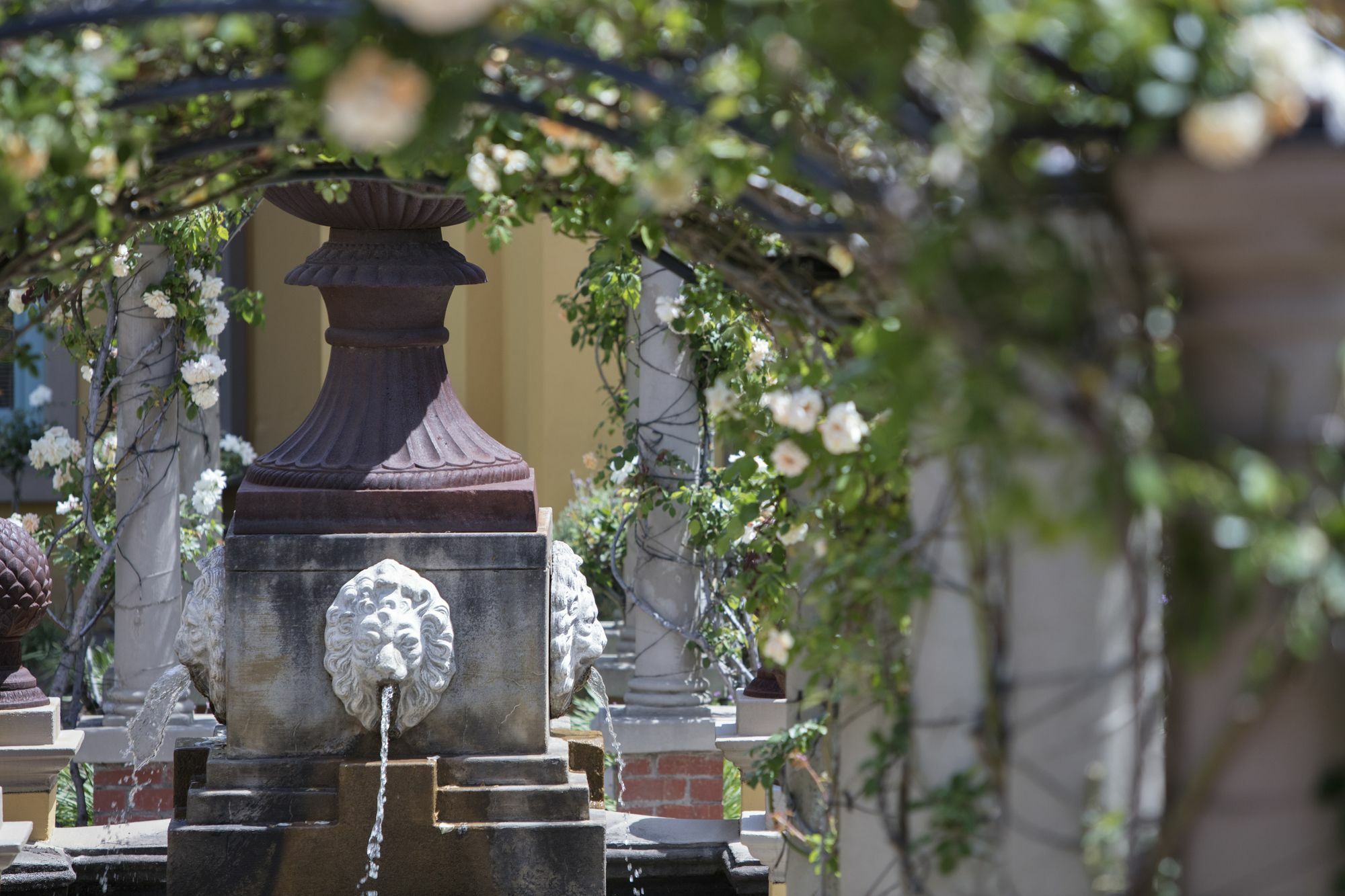 Franschhoek Country House & Villas Экстерьер фото